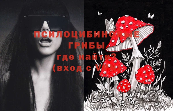 мяу мяу мука Горнозаводск
