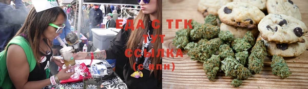 меф Горняк