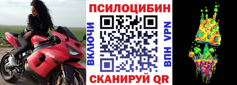 Купить где Нижнеудинск Галлюциногенные грибы Magic Shrooms